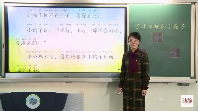 0313001小学一年级语文《小公鸡和小鸭子》第一课时