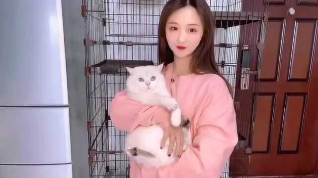 抱猫姿势大全!想要养猫的美女们必看:这样抱才最安全!