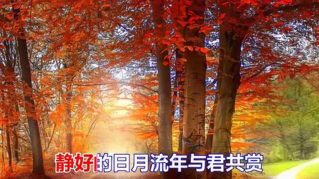 一首非常好听的情歌《秋念》