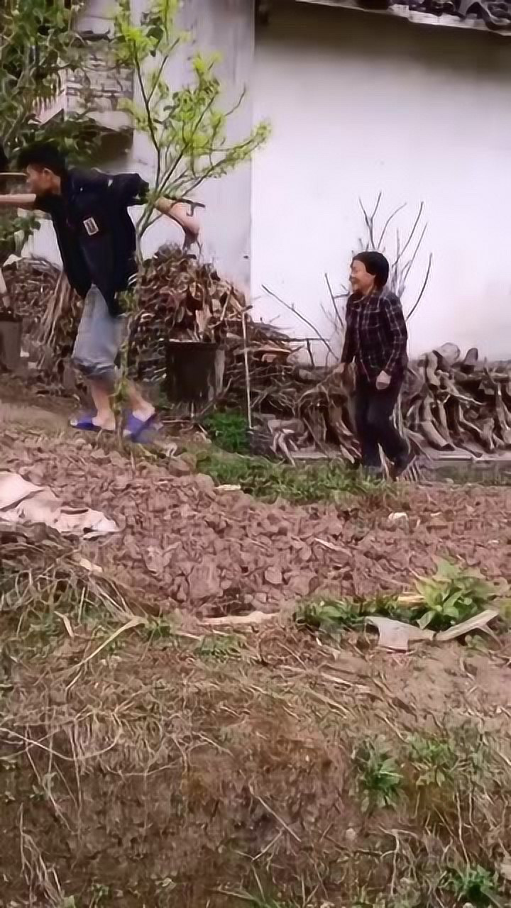 小伙子24年了第一次挑粪妈妈跟在后面快笑吐了真不容易啊