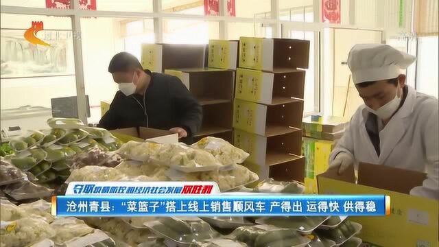 沧州青县:“菜篮子”搭上线上销售顺风车 产得出 运得快 供得稳