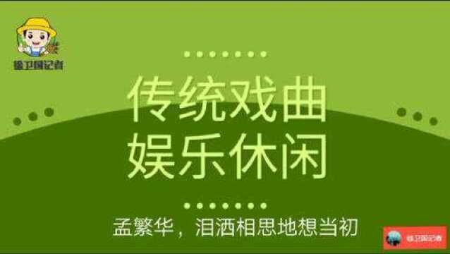 传统戏曲娱乐休闲,孟繁华,泪洒相思地想当初