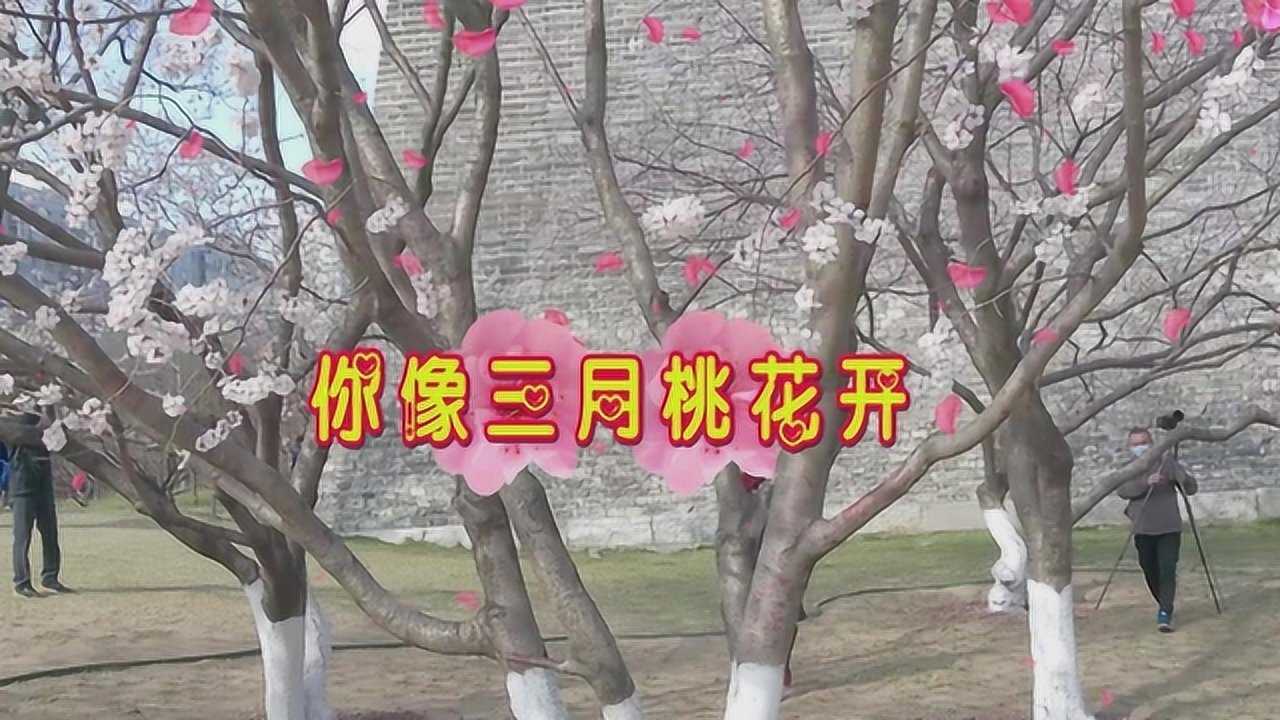 送你一首甜美的歌你像三月桃花开愿你的生活像桃花那样美