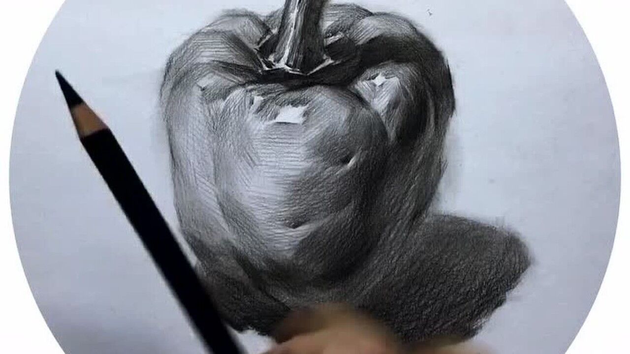 灯笼椒素描静物