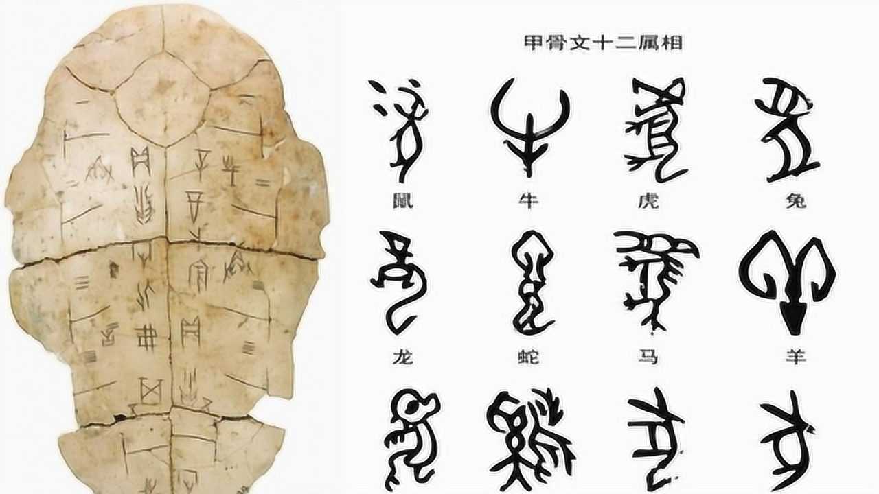 中国古代字体演变过程图片