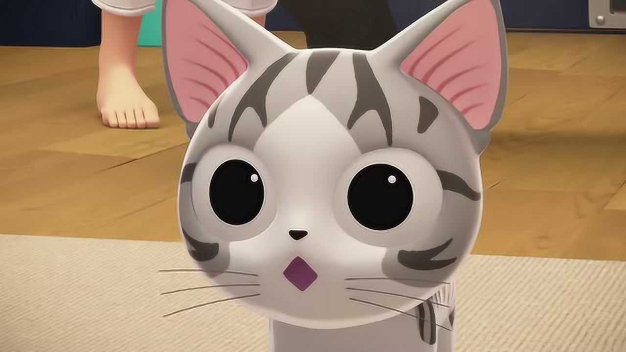 甜甜私房猫:小奇,你也想玩了,对吗