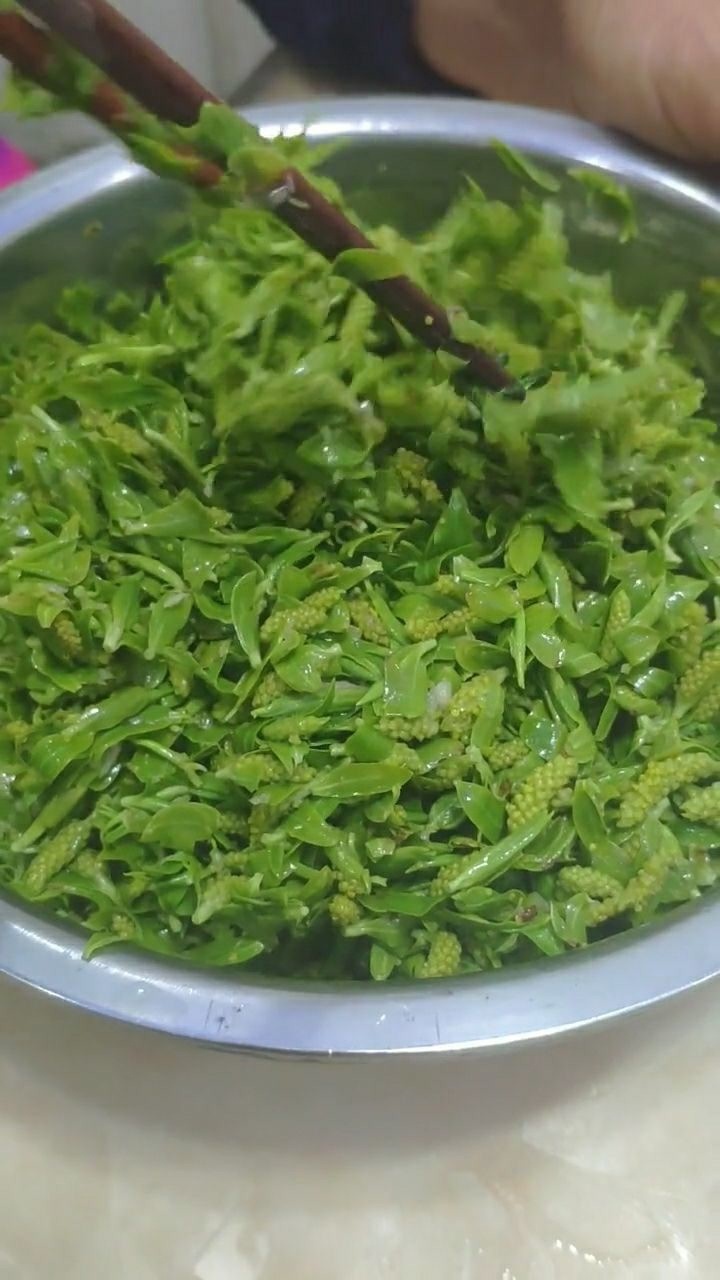 我这三十多年算是白活了柳树芽竟然还能凉拌着吃到底是啥味的