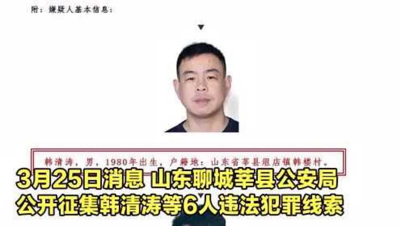 山东聊城一涉恶黑团伙照片曝光嫌犯均系80后警方征集线索