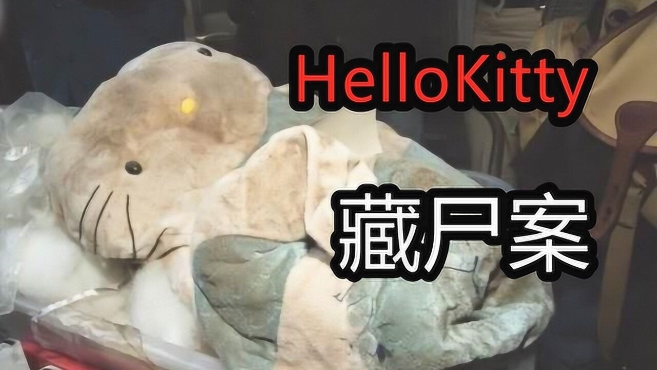 HelloKitty藏尸案事件始末,香港第四大凶案!_高清1080P在线观看平台_腾讯视频