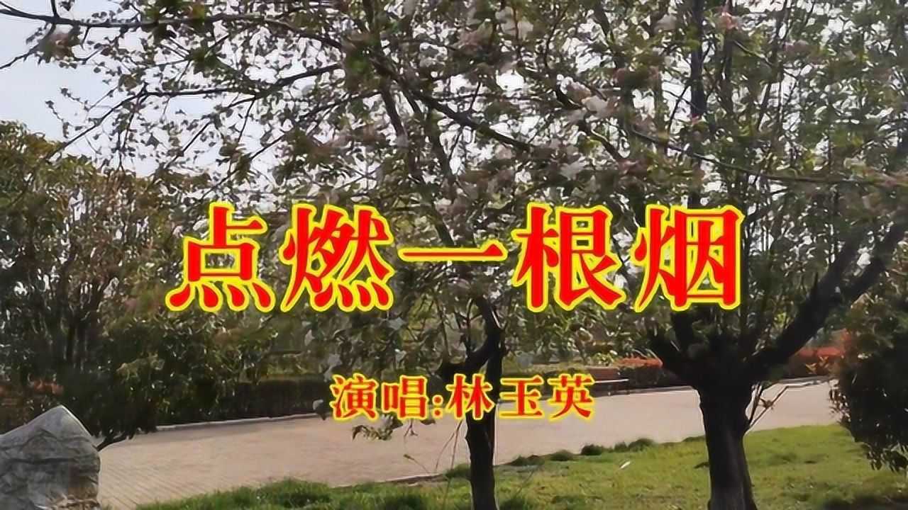 林玉英《点燃一根烟,经典金曲,怀旧老歌,百听不厌!