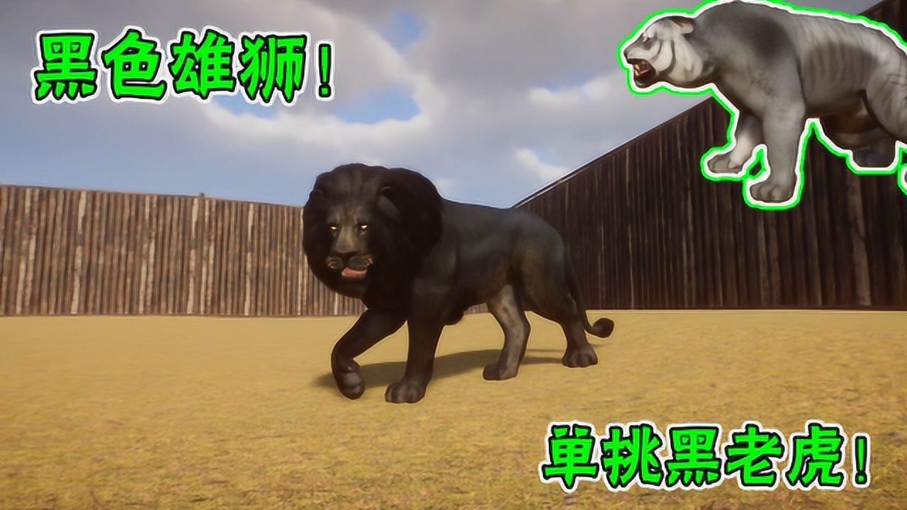 动物园建设42:兽医研究出黑狮子!跟黑老虎单挑哪个厉害?_高清1080P在线观看平台_腾讯视频