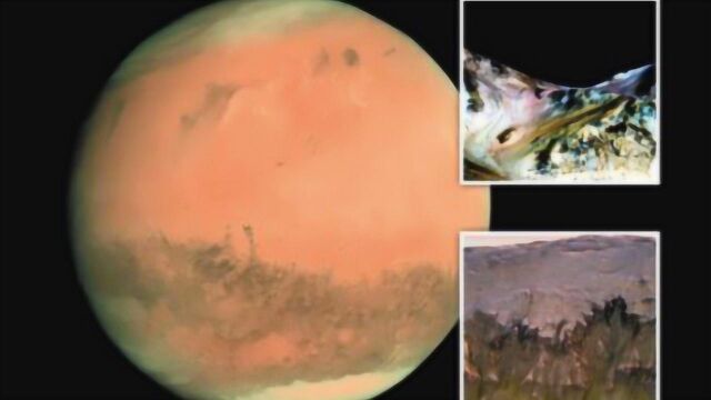 火星大气层突然增厚,背后原因成迷,马斯克表示需尽快登陆火星