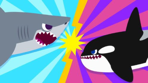 大白鲨VS虎鲸，海底霸主争夺战，最强王者，涨知识啦_003