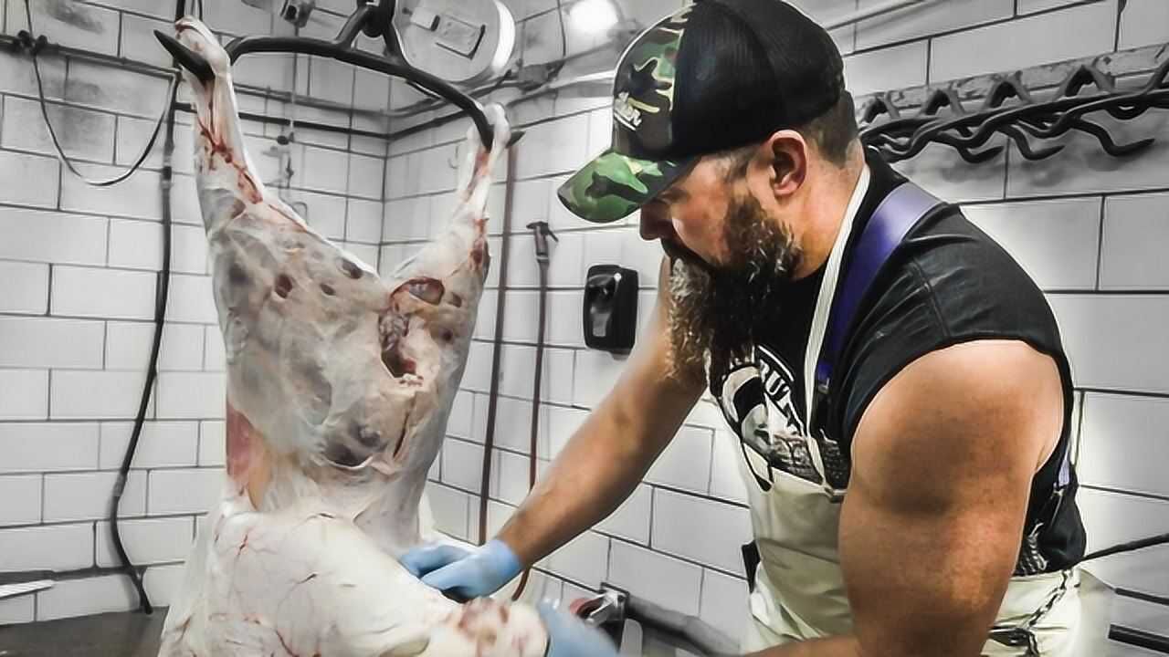 如何给羔羊剥皮胡子大哥全程分解10分钟一看手法就知是高手