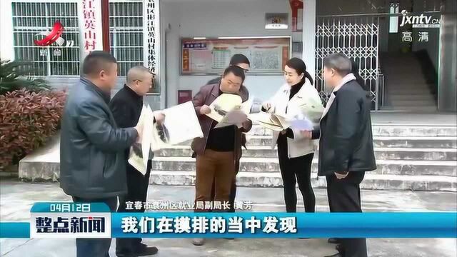 宜春市袁州区:按下就业扶贫“快进键”