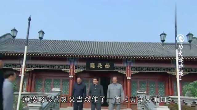 溥仪参观祖国建设,在井冈山赋诗2首,杜聿明、王耀武连口称赞