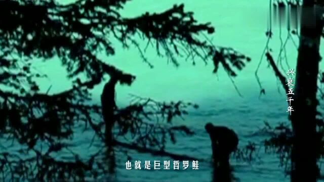 新疆喀纳斯湖有巨型“水怪”人们不敢靠近湖边,专家曾揭露真相