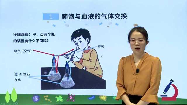 七年级下册生物(人教版)发生在肺里的气体交换