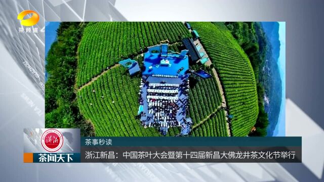 2020中国茶叶大会暨第十四届新昌大佛龙井茶文化节举行茶闻天下