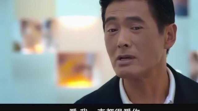 石一坚察觉莫愁才是幕后老板,感情与事业莫愁终究选择了事业