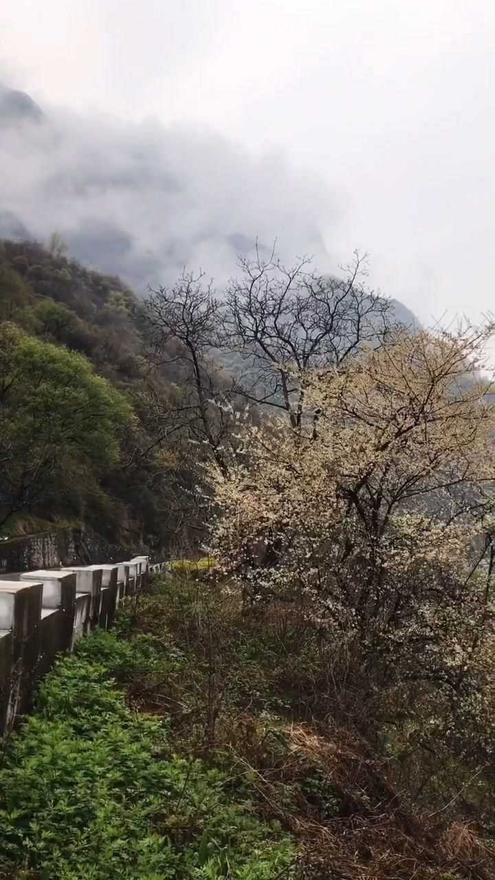 沣峪口位于陕西省西安市长安区滦镇街道城区南边约35公里处的秦岭北麓