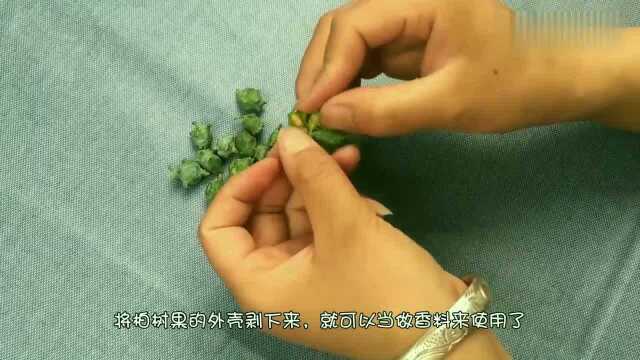 活了30年才知道,柏树果是个宝,这3个作用太强,看了赶紧摘一些