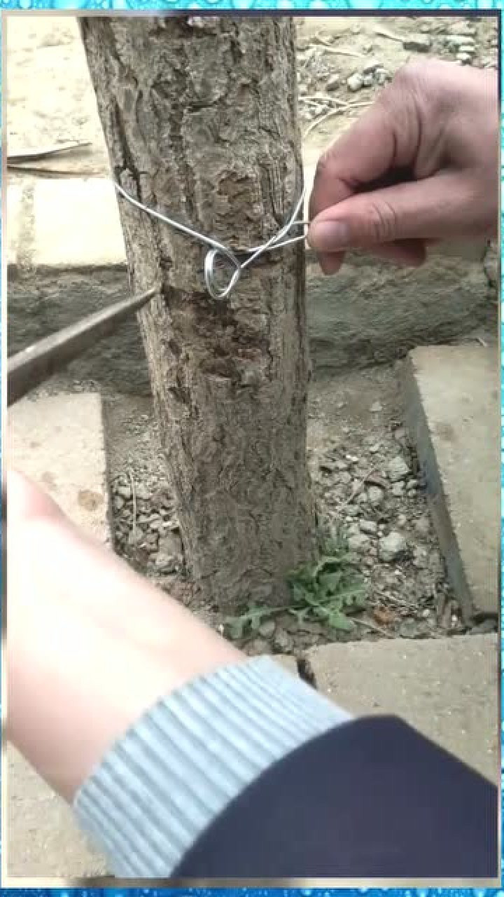 铁丝这样打结结实牢固很实用的生活窍门