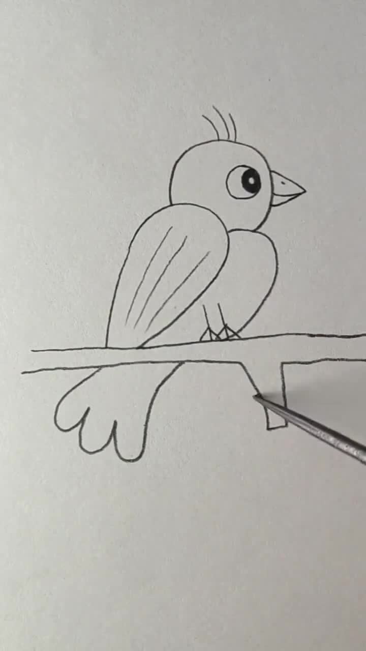 用22画小鸟这只小鸟叫三毛