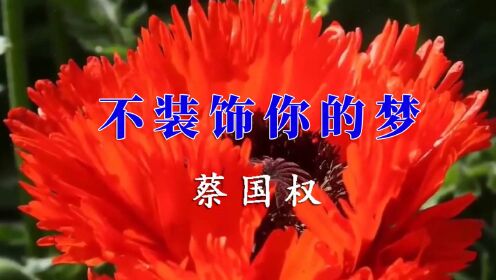 蔡国权粤语歌《不装饰你的梦》，柔情细腻的唱功，30年了仍然经典