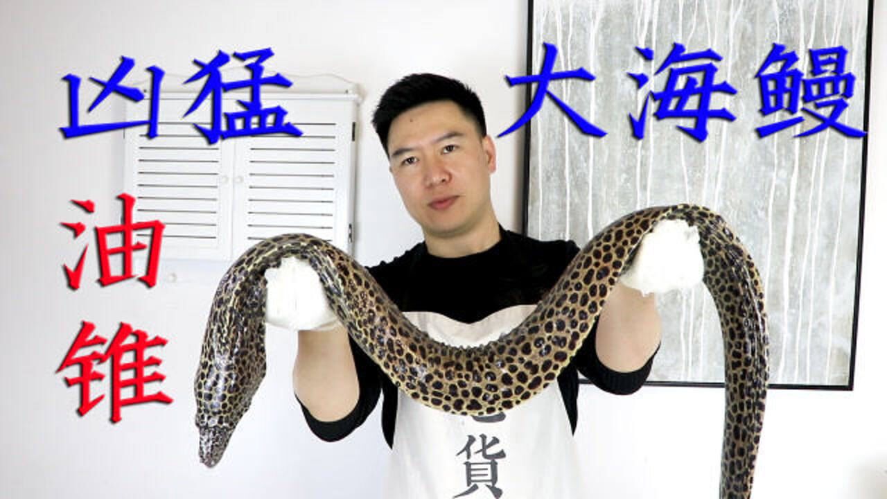 1050买一条12斤大油锥鱼,丑陋凶猛,出锅后味鲜肉嫩,吃的真过瘾