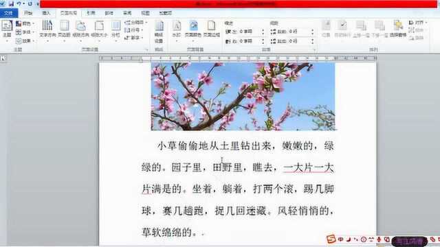 网课教学:Word水印设置 office办公软件学习