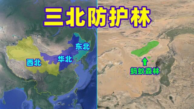 中国人如何与沙漠作斗争?40年建设,耗资数百亿的三北防护林!