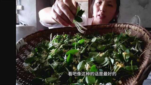 李姐赵哥去山上采金银花,回来的路上,发现一个钓鱼的技术不摆了