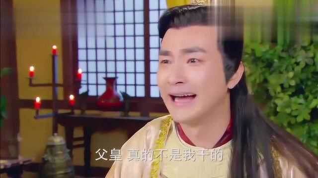 太子遭人陷害,被父皇关了起来,平时威风的太子竟也落得这般模样