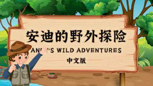 第01集 Andy\'s wild adventures