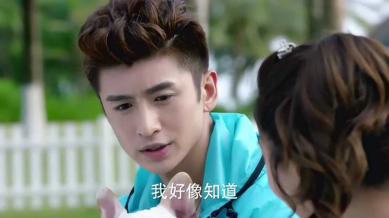 神犬小七:饭桶把小七当大哥,鲍宇瞬间顿悟,知道怎么训练萌宠!