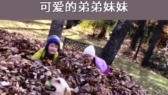 雪人终结者—拉布拉多斯特拉的故事