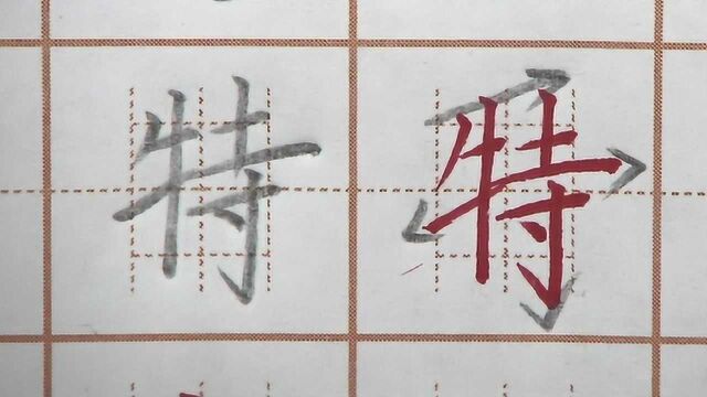 特字左小右大结构书写,右边比左边更高,二年级生字硬笔书法练字