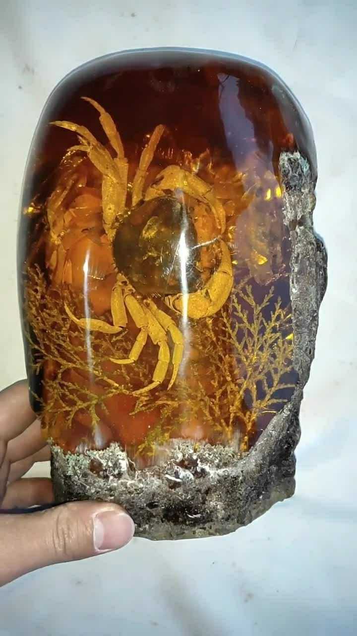 非常大的一块琥珀,里面还有一只很大的螃蟹