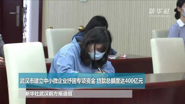 武汉市建立中小微企业纾困专项资金 贷款总额度达400亿元