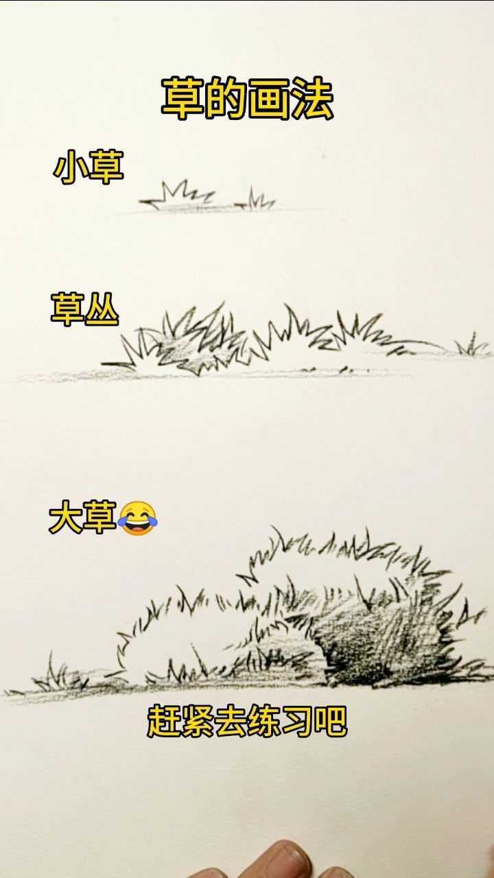 速写风景草的画法,认真学习了