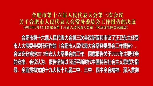 合肥市第十六届人民代表大会第三次会议决议