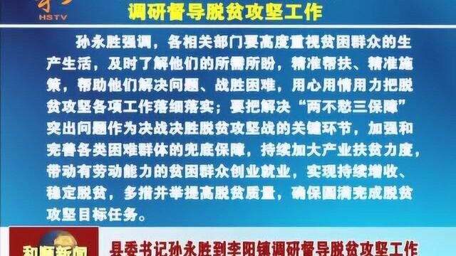 县委书记孙永胜到李阳镇调研督导脱贫攻坚工作