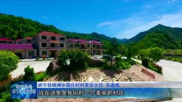 市林业局:围绕产业抓致富 助农增收奔小康