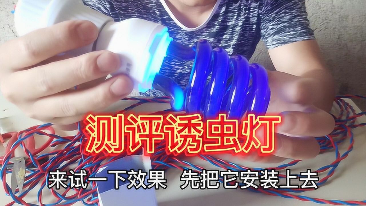 小伙在淘宝花费35元网购紫光灯自制虫子诱捕器效果却等于没装