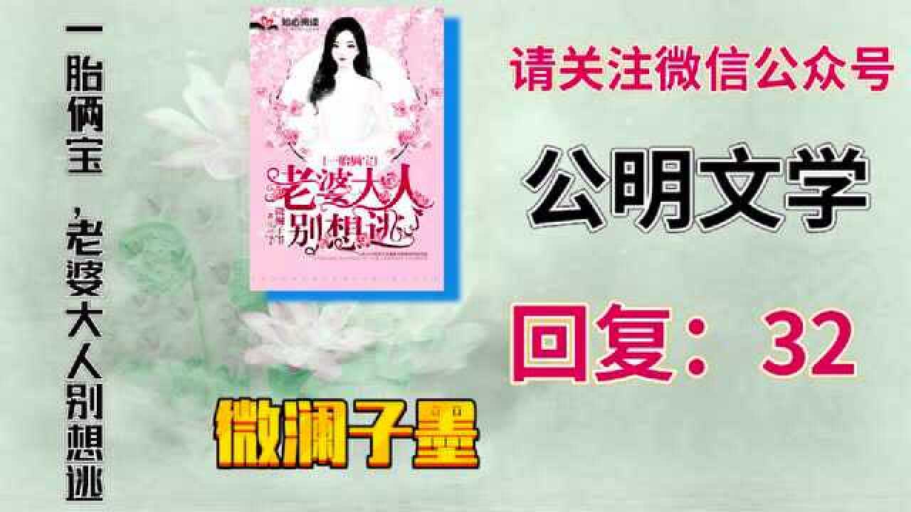 一胎俩宝老婆大人别想逃叶南弦沈蔓歌微澜子墨全本