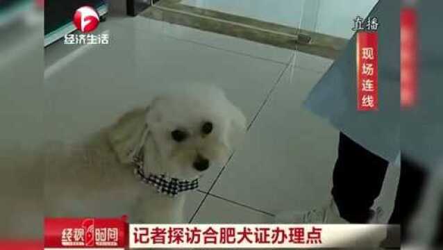 合肥养犬条例将正式施行 探访合肥犬证办理点 那里情况如何?