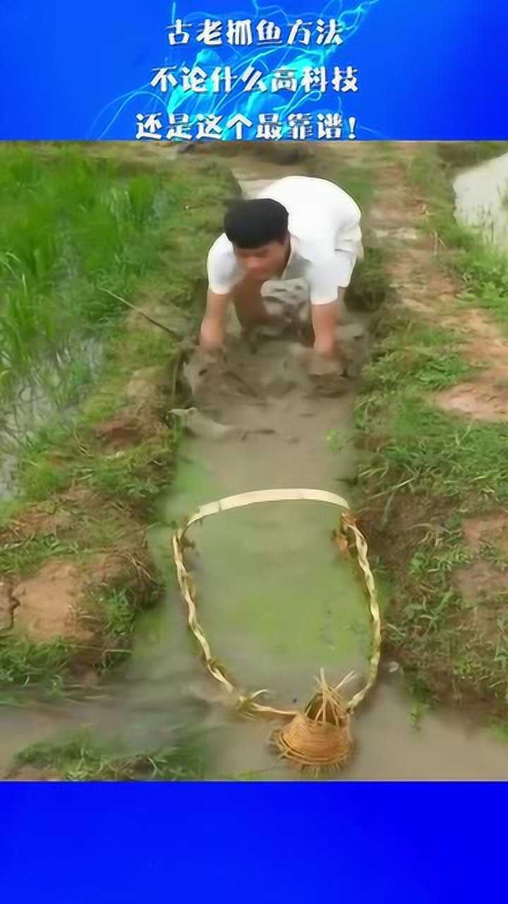 古老抓鱼方法不论什么高科技还是这个最靠谱