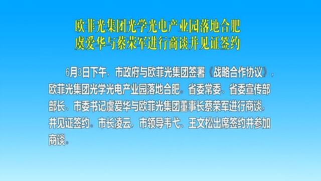 欧菲光集团光学光电产业园落地合肥 虞爱华与蔡荣军进行商谈并见证签约