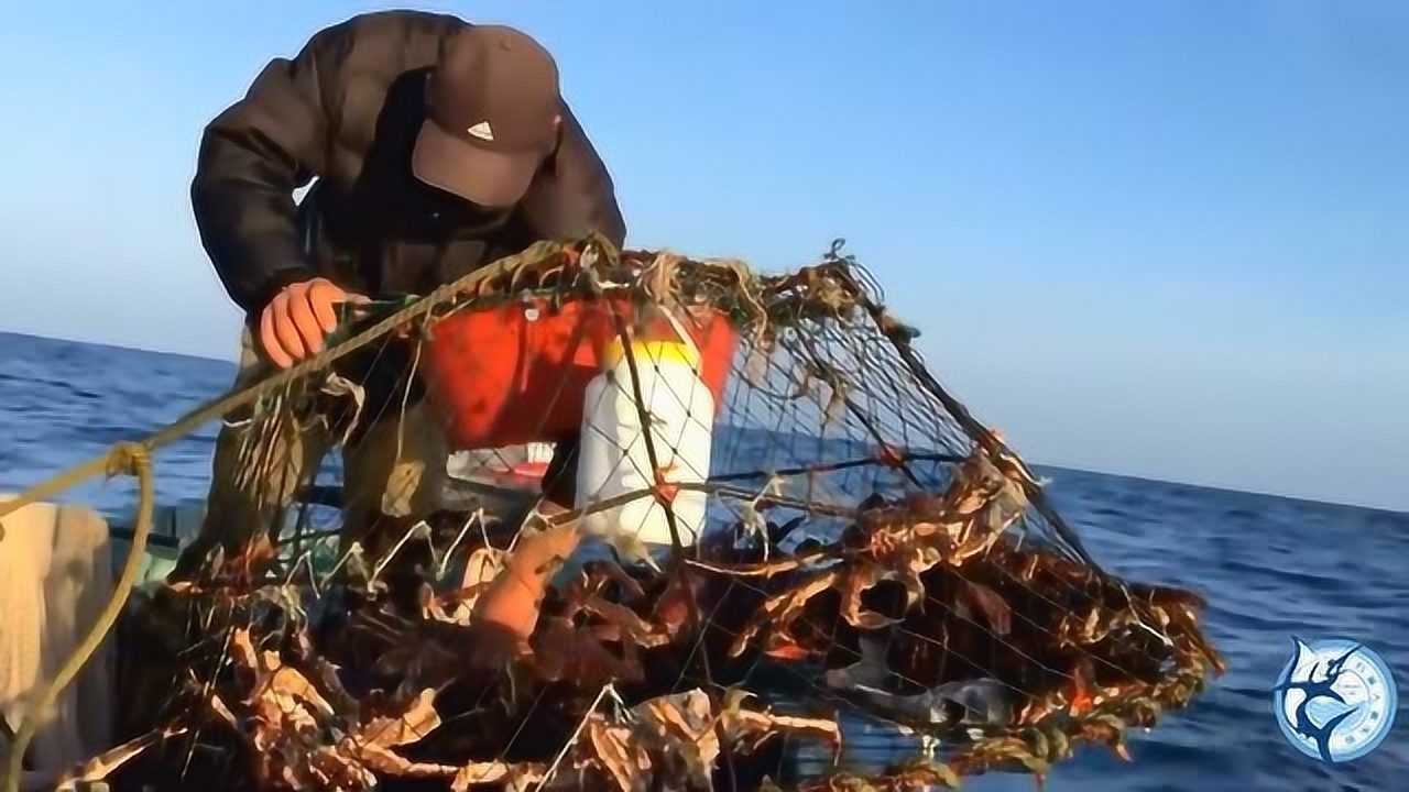 與戰鬥民族一起捕撈帝王蟹美女解說很有趣